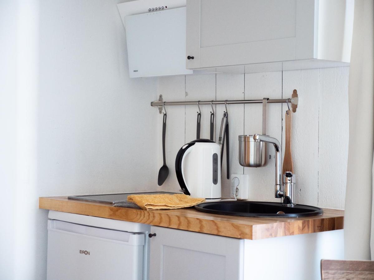 Willow Apartment Pavilosta